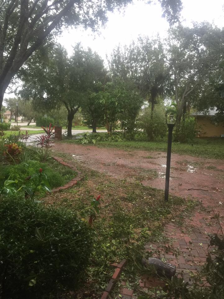 landscape debris after hurricane