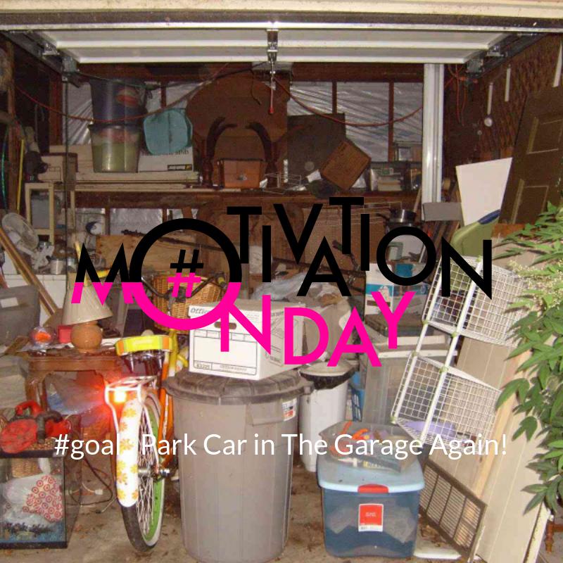 florida garage clean out dumpster meme 