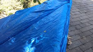 blue tarped roof after irma