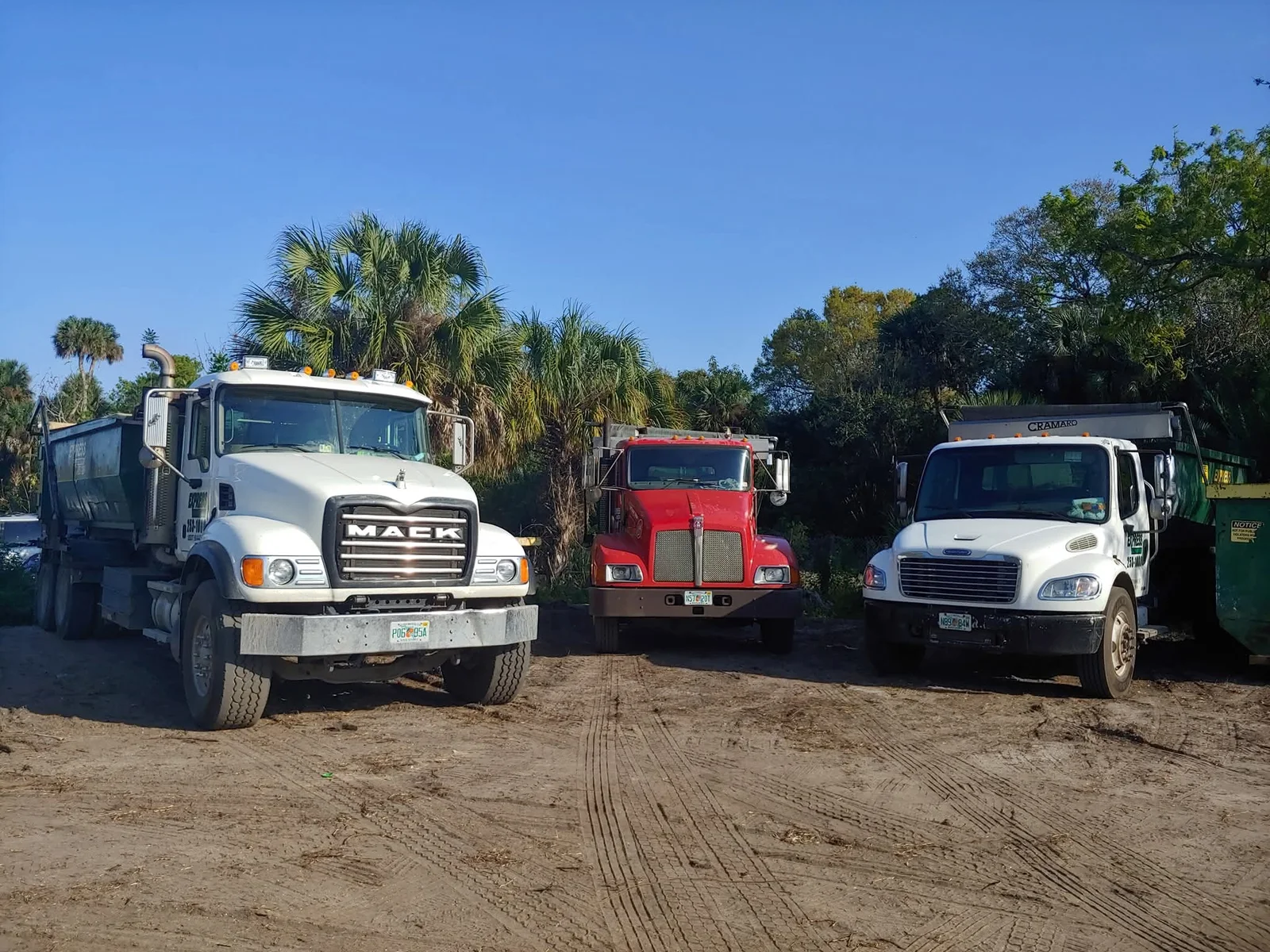 Crew organizing household debris into roll off dumpster with careful residential cleanup process